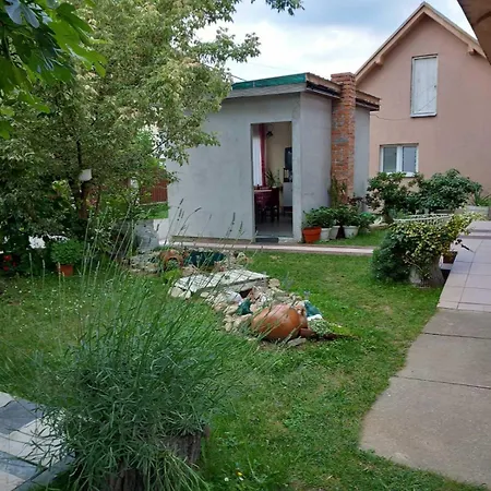 Pavlov Homestay szállás