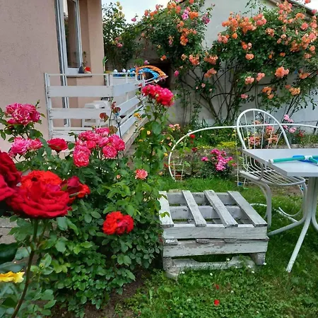 Privatunterkunft Pavlov Aranđelovac