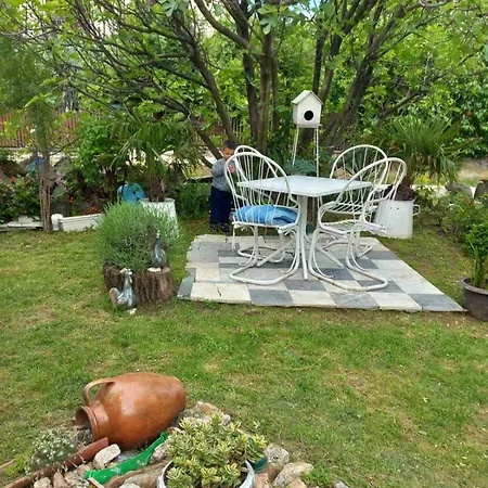 Pavlov * Aranđelovac