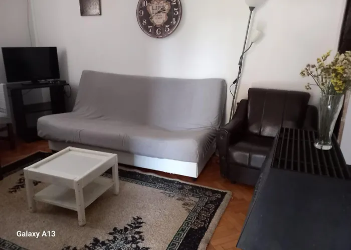 Pavlov Проживание в семье Аранделовац