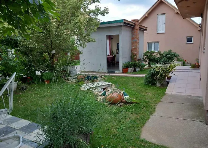 Pavlov Проживание в семье