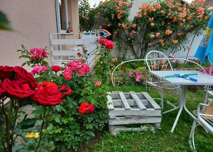 Проживание в семье Pavlov Аранделовац