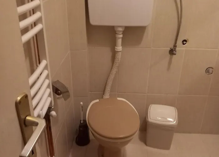 Проживание в семье Pavlov *