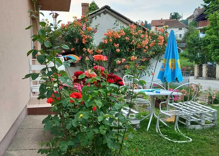 Проживание в семье Pavlov